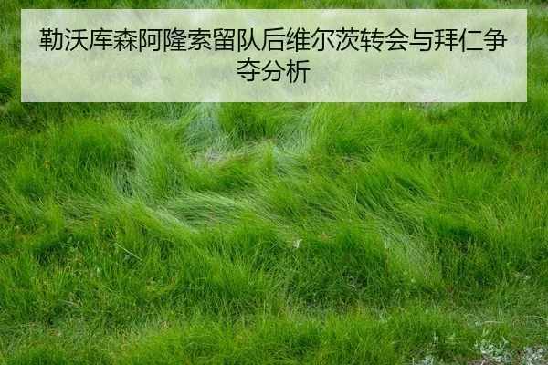 lei-wo-ku-sen-a-long-suo-liu-dui-hou-wei-er-ci-zhuan-hui-yu-bai-ren-zheng-duo-fen-xi-3-891.jpg