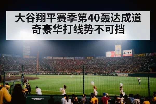 baseball stadium night